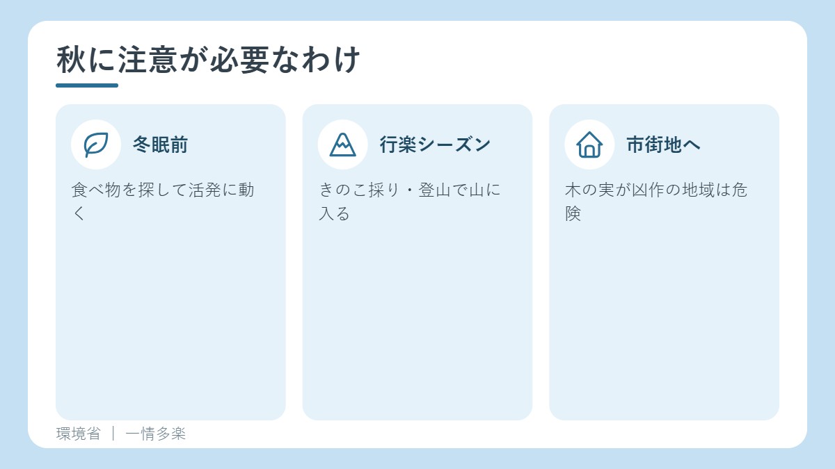 秋に注意が必要なわけ。冬眠前に活発、行楽のシーズン、木の実の凶作で市街地へ