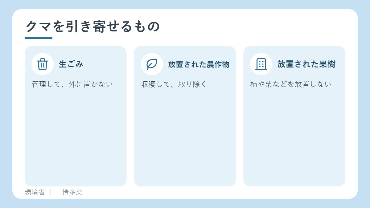 クマを引き寄せるもの。生ごみ、放置された農作物、放置された果樹